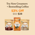 Creamer Bundle - Focus Blend