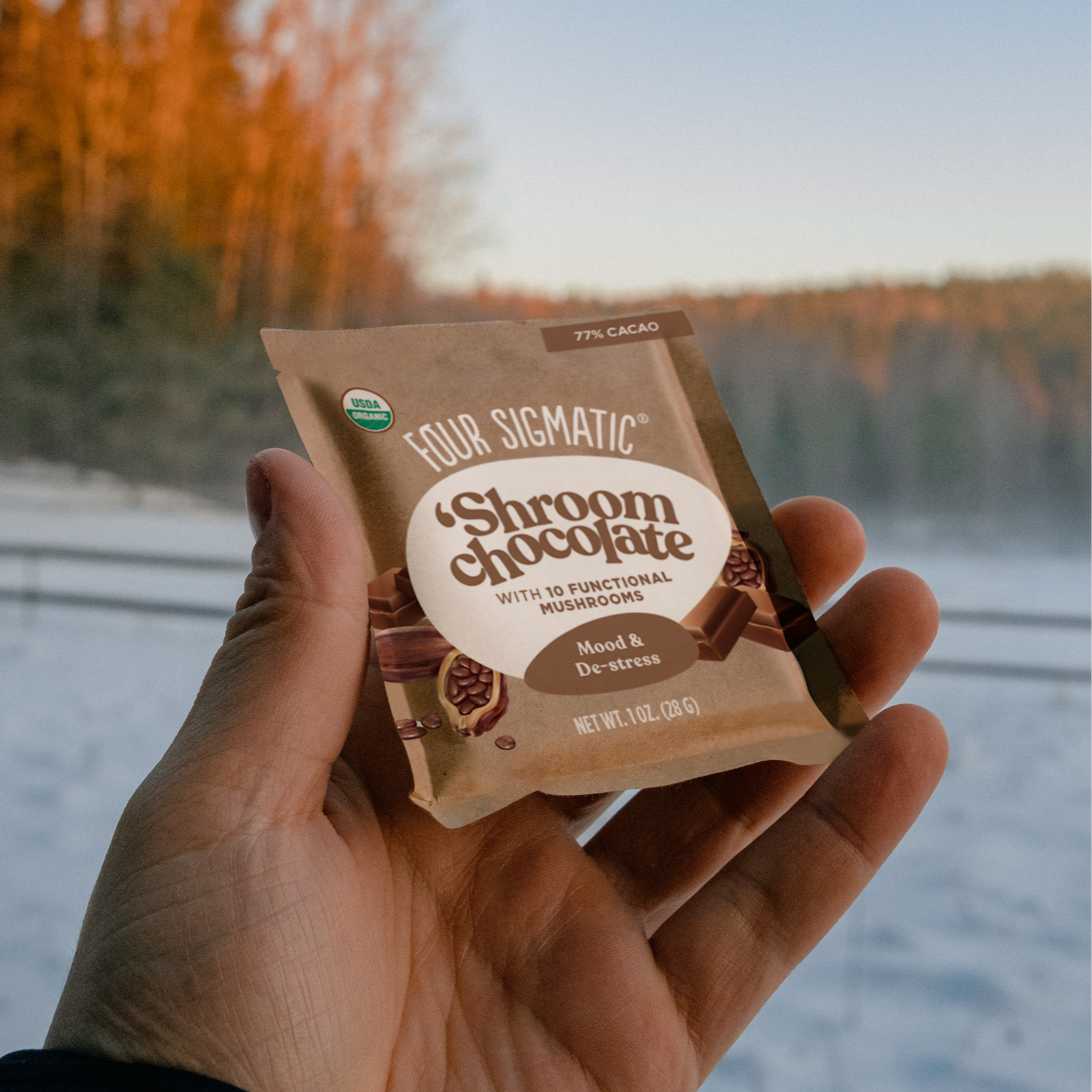 Santa Sold ‘Shrooms Book - Balanced Blend